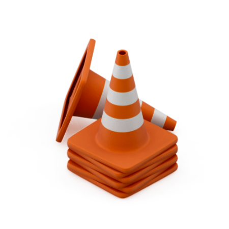 Indian Women Welfare Organization 